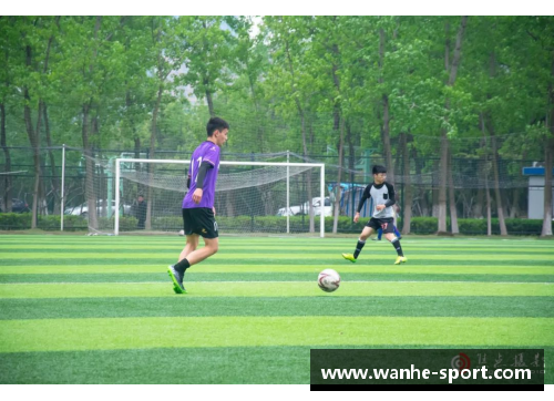 左翼风云：探索足球场上的侧翼之美